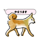 柴犬のトーク風敬語スタンプ（個別スタンプ：37）