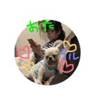 ブルーくん（個別スタンプ：2）