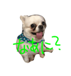 ブルーくん（個別スタンプ：7）