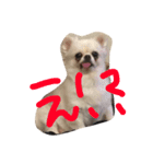 ブルーくん（個別スタンプ：8）