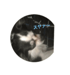 animal tanteidan（個別スタンプ：12）