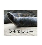 animal tanteidan（個別スタンプ：14）