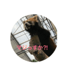 animal tanteidan（個別スタンプ：16）