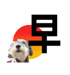My Schnauzer one word（個別スタンプ：7）