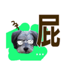 My Schnauzer one word（個別スタンプ：11）