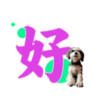 My Schnauzer one word（個別スタンプ：13）