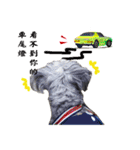 My Schnauzer one word（個別スタンプ：20）