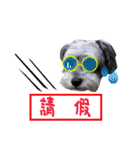 My Schnauzer one word（個別スタンプ：22）