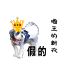 My Schnauzer one word（個別スタンプ：31）