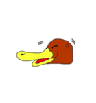 かものハシくん～ひと言付き～（個別スタンプ：13）