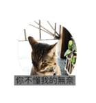 pupu cat＆dog（個別スタンプ：1）