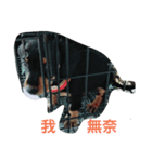 chi chi's love（個別スタンプ：1）