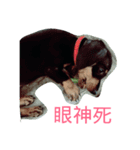 chi chi's love（個別スタンプ：2）