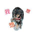 chi chi's love（個別スタンプ：4）