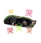 chi chi's love（個別スタンプ：7）
