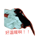 chi chi's love（個別スタンプ：8）
