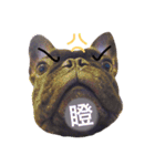 my dog bee bee（個別スタンプ：16）