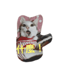Crazy cat girl（個別スタンプ：2）