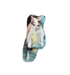 Crazy cat girl（個別スタンプ：7）