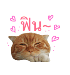 Billion The Cat（個別スタンプ：9）