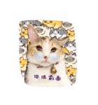 Lingo's caramel（個別スタンプ：2）