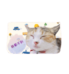 Lingo's caramel（個別スタンプ：3）