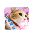 Lingo's caramel（個別スタンプ：4）