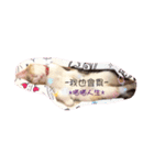 Lingo's caramel（個別スタンプ：7）