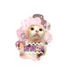 Lingo's caramel（個別スタンプ：9）