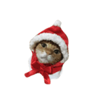 Jingle Meow（個別スタンプ：2）