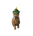 Jingle Meow（個別スタンプ：6）