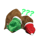 Jingle Meow（個別スタンプ：8）