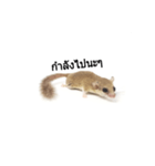 PAJ JU BAN ＆ GA TUN HUN（個別スタンプ：6）