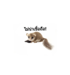 PAJ JU BAN ＆ GA TUN HUN（個別スタンプ：26）