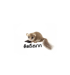 PAJ JU BAN ＆ GA TUN HUN（個別スタンプ：29）