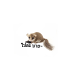 PAJ JU BAN ＆ GA TUN HUN（個別スタンプ：32）