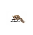 PAJ JU BAN ＆ GA TUN HUN（個別スタンプ：37）