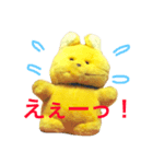 トラきち（個別スタンプ：1）