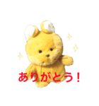 トラきち（個別スタンプ：2）