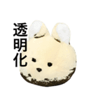 トラきち（個別スタンプ：3）