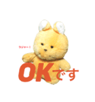 トラきち（個別スタンプ：4）