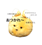 トラきち（個別スタンプ：6）