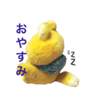 トラきち（個別スタンプ：7）