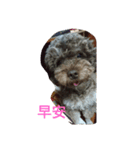 Dog I love（個別スタンプ：2）