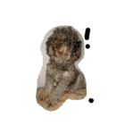 Dog I love（個別スタンプ：3）
