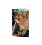 Dog I love（個別スタンプ：6）