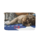 Dog I love（個別スタンプ：7）