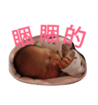 Bonu＆Boz（個別スタンプ：11）
