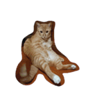 Cat my home（個別スタンプ：4）