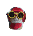 Cat my home（個別スタンプ：7）